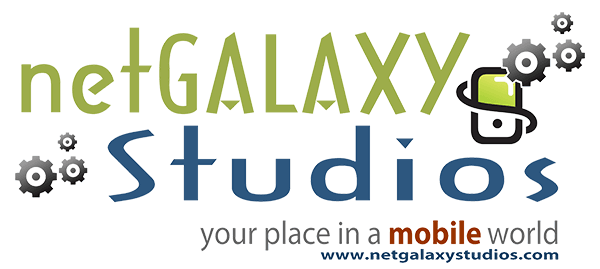Search Engine Optimization Services | netGALAXY Studios